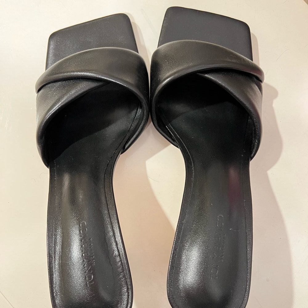 Tony Bianco Black Alexa Mule